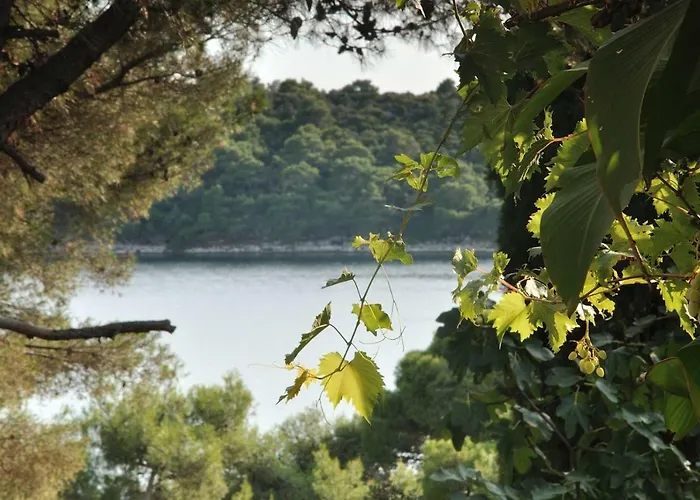 Apartman Luka Mali Lošinj