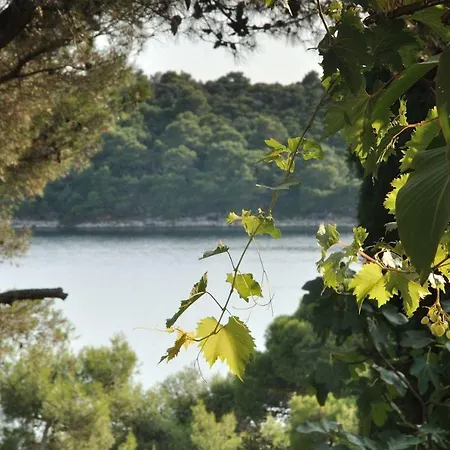 Apartman Luka Mali Losinj